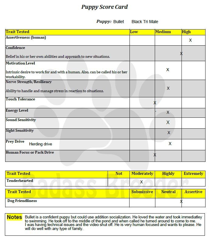 Puppy Score Card - Bullet jpg.JPG