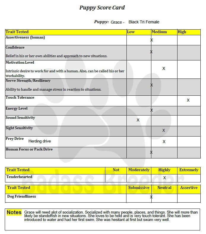 Puppy Score Card - Grace jpeg.JPG