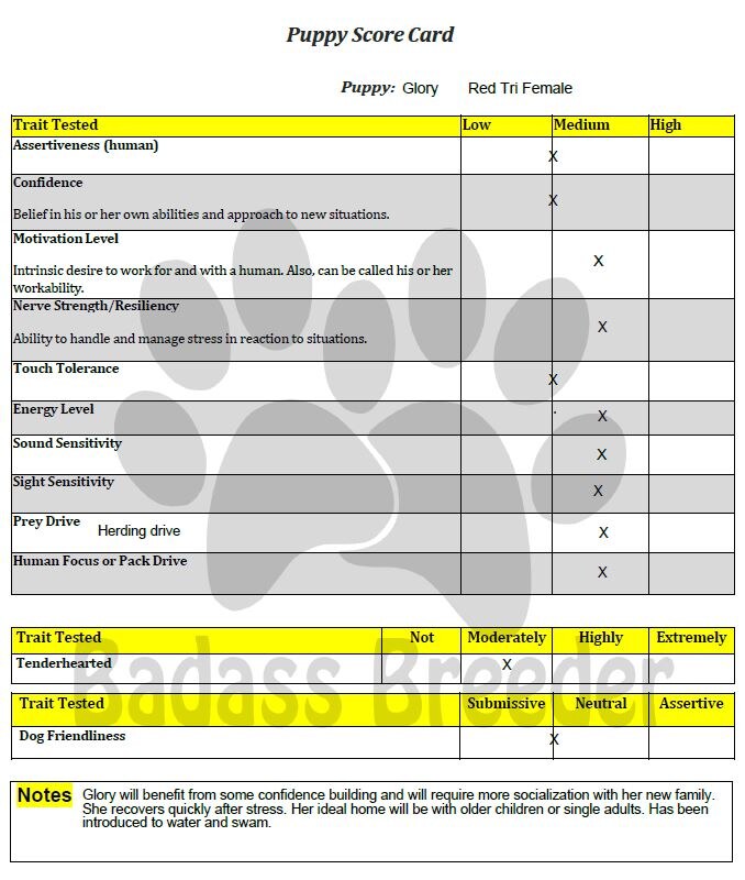 Puppy Score Card - Glory jpeg.JPG