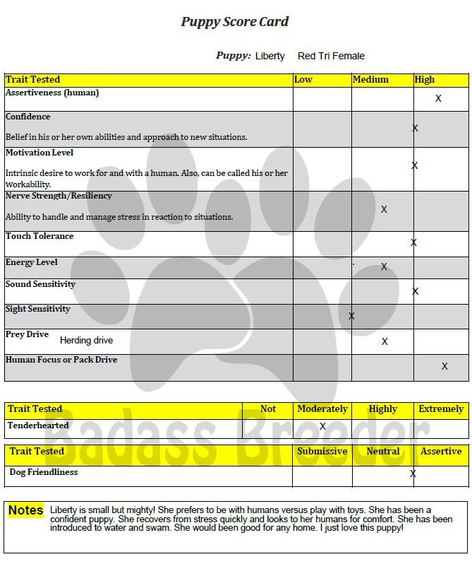 Puppy Score Card - Liberty jpeg.JPG