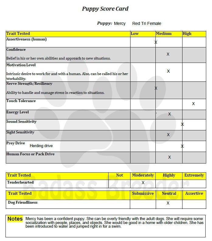 Puppy Score Card - Mercy jpeg.JPG