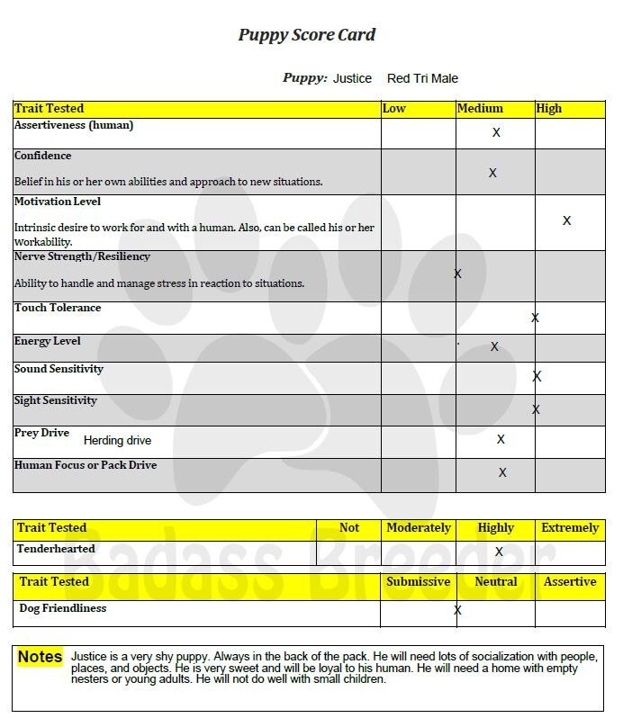 Puppy Score Card - Justice jpeg.JPG