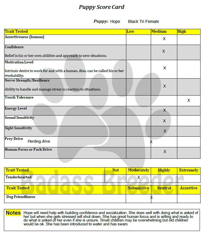 Puppy Score Card - Hope jpeg.JPG