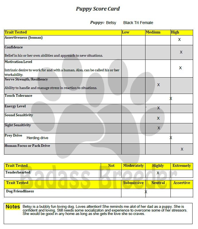 Puppy Score Card - Betsy jpeg.JPG