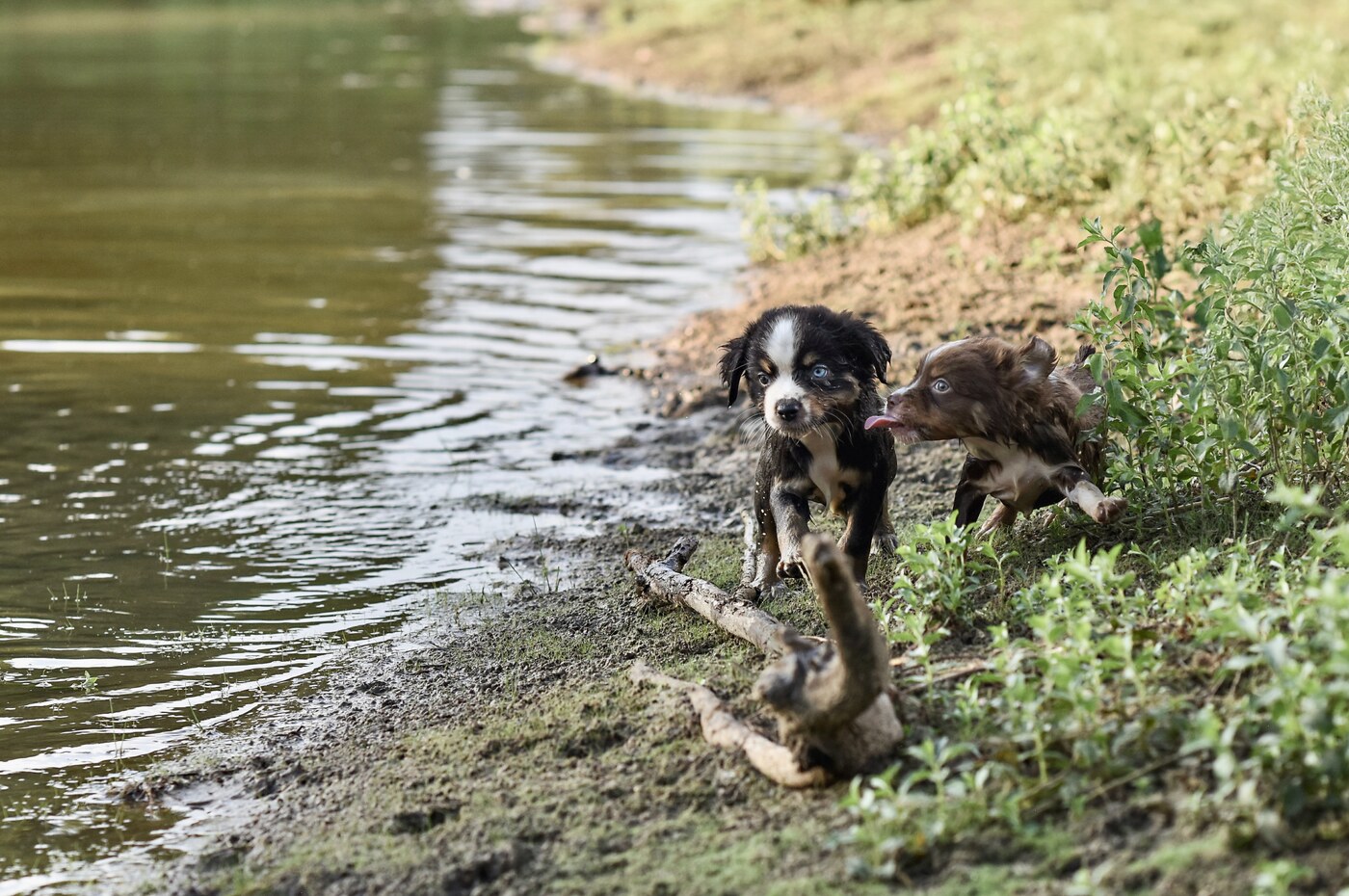 DSC_7843 copy
