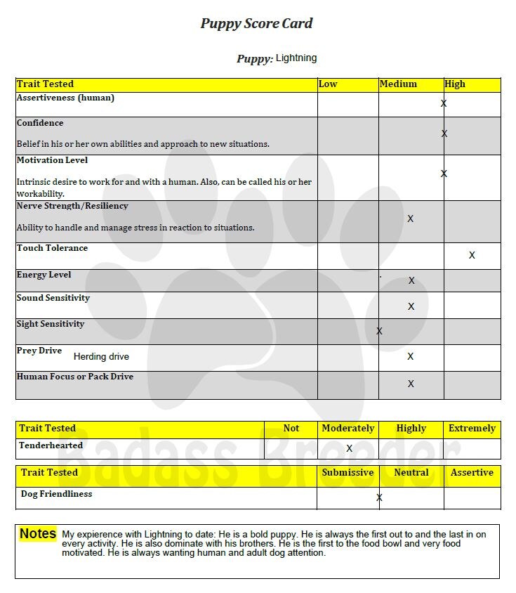 Score Card Lightning.JPG