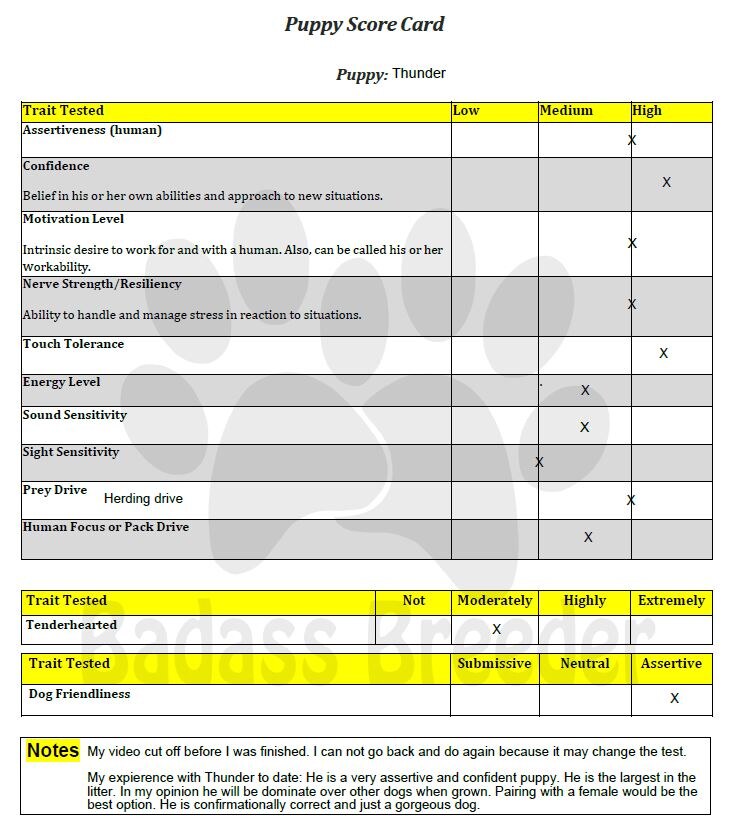 Score Card Thunder.JPG
