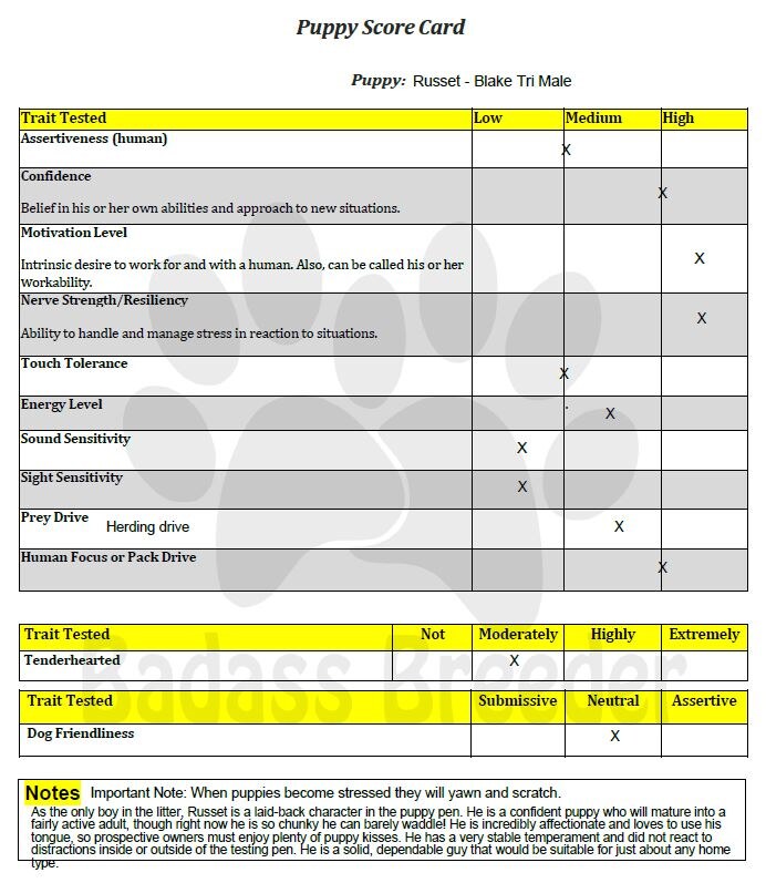 Russet Score Card JPEG.JPG