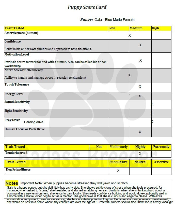 Gala Score Card JPEG.JPG