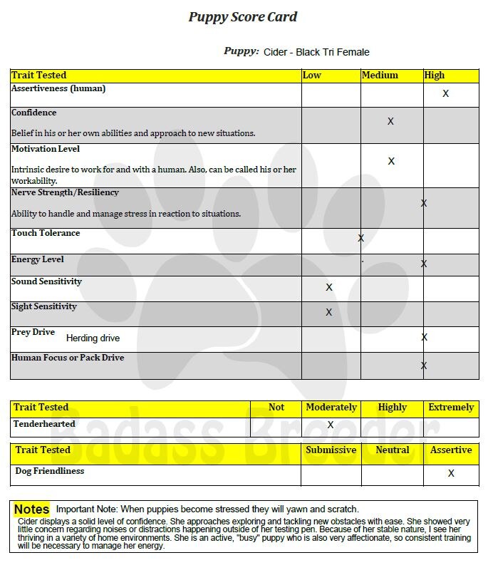 Cider Score Card JPEG.JPG