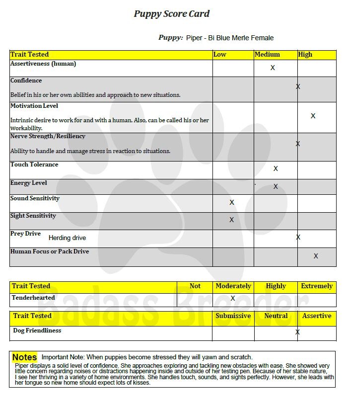 Piper Score Card JPEG.JPG