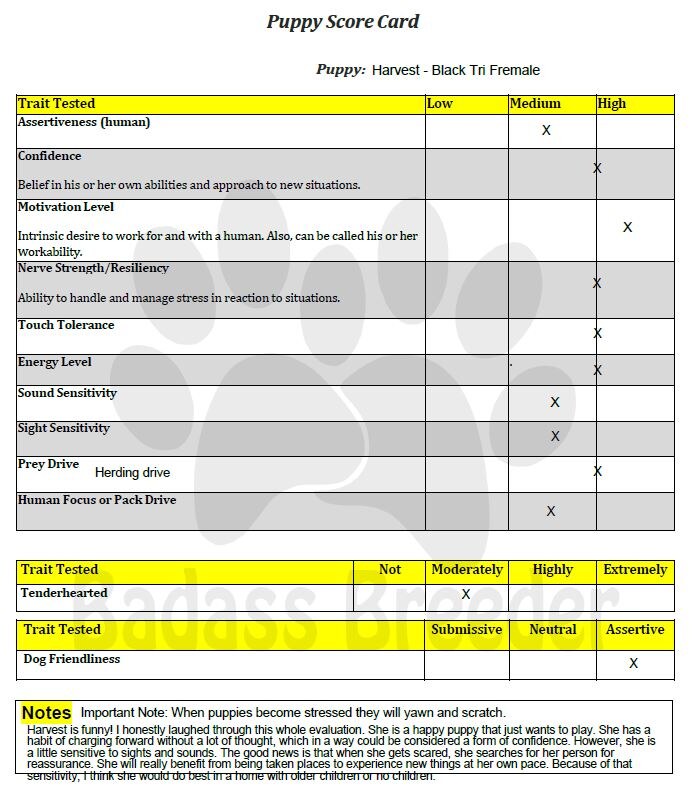 Harvest Score Card JPEG.JPG