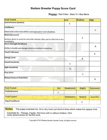 Red Collar Score Card