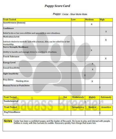 Cedar Score Card JPEG