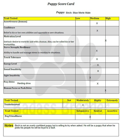 Birch Score Card JPEG
