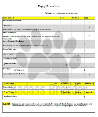 Seqouia Score Card JPEG