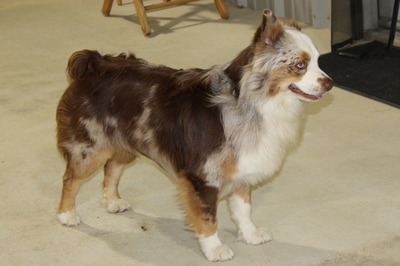 Walter 2