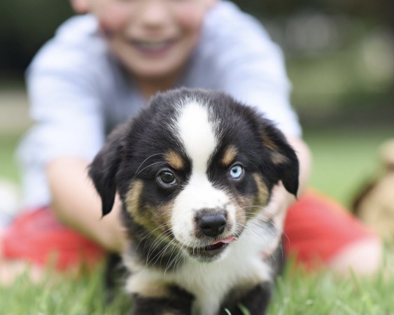 Angel x Jackson Litter 2025