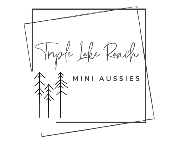 Triple Lake Ranch Logo (5)