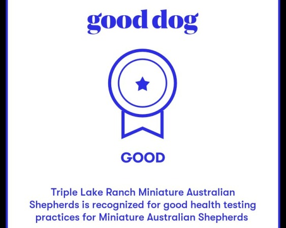 Good Dog Testing Badge
