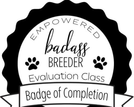 BAB Testing Badge